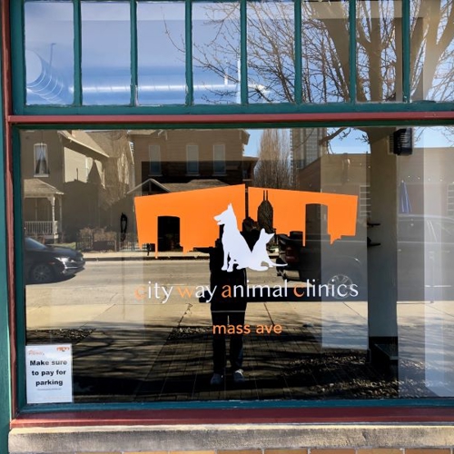 Window Graphics